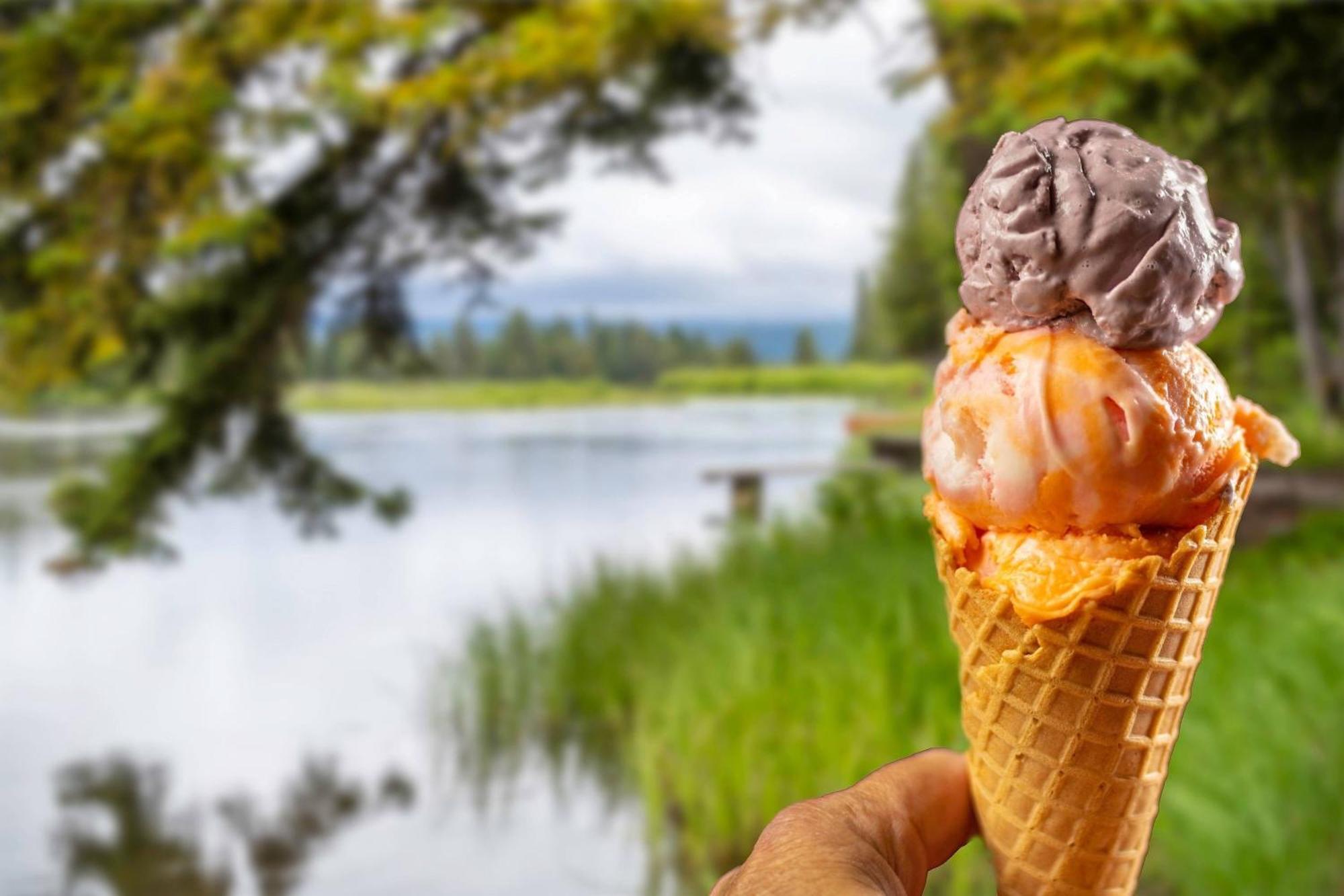 Springhill Suites Island Park Yellowstone Dış mekan fotoğraf